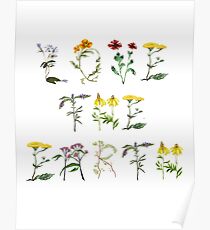 Love The Earth Poster