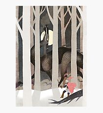 Playful One Photographic Print