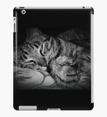 Sleeping Cat iPad Case/Skin