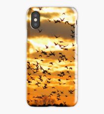 Ducks Unlimited iPhone Case