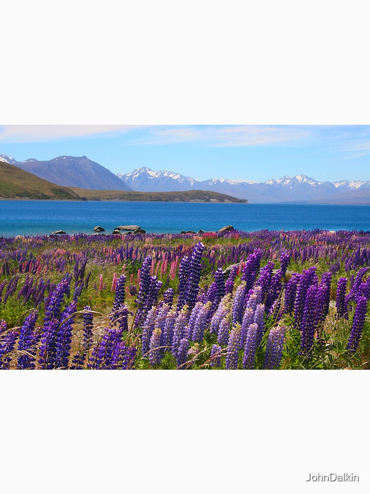 Lake Tekapo and wild flowering lupins by JohnDalkin