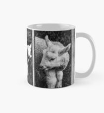 Lamb Triptych Mug
