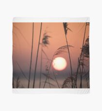 Sunset through the canes, Monte del Lago, Lago Trasimeno, Umbria, Italy Scarf