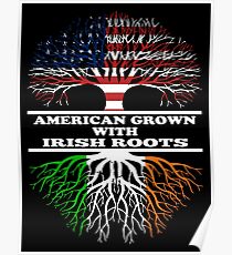 American Irish Poster
