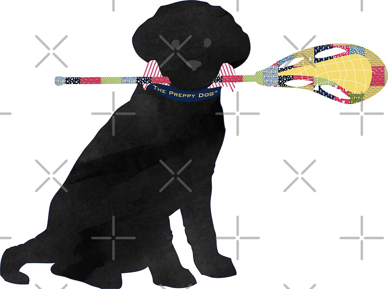 "Black Lab Retriever Lacrosse Dog" Stickers by emrdesigns Redbubble