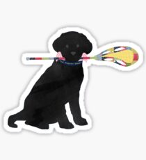 Black Lab Retriever Lacrosse Dog Sticker