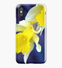 Daffodils iPhone Case/Skin