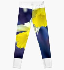 Daffodils Leggings