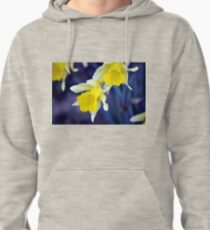 Daffodils Pullover Hoodie