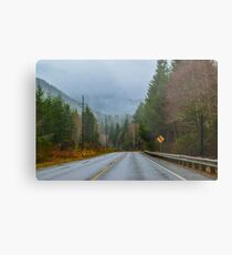 Burnt Mountain Road, Clallam County, Washington Metal Print