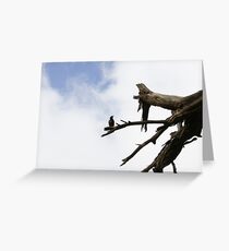 Bird Greeting Card