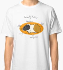 Guinea Pig Anatomy Classic T-Shirt