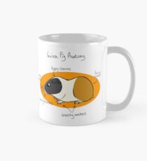 Guinea Pig Anatomy Mug