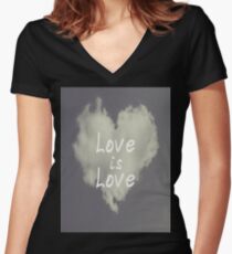 Love is Love Women's Fitted V-Neck T-Shirt