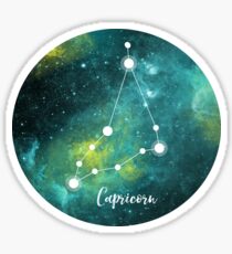 Capricorn Zodiac Sign, December 22 - January 19 Sticker