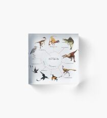 Theropoda: The Cladogram Acrylic Block