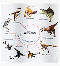 Theropoda: The Cladogram Poster