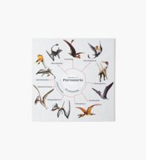 Pterosauria: The Cladogram Art Board
