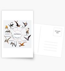 Pterosauria: The Cladogram Postcards