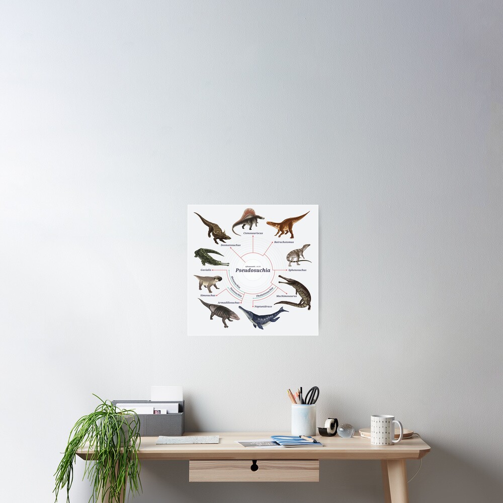 Pseudosuchia: The Cladogram Poster