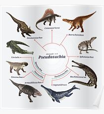 Pseudosuchia: The Cladogram Poster