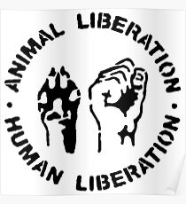 animal Liberation Poster