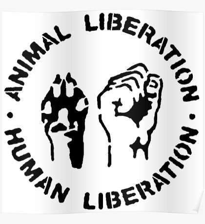 Animal Liberation: Posters | Redbubble