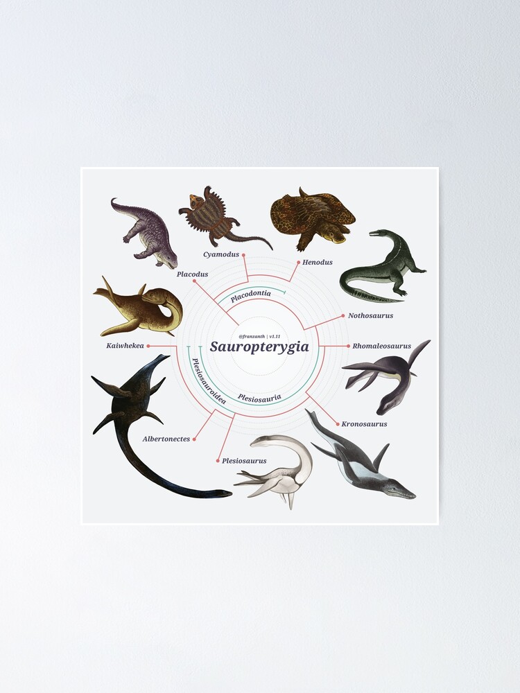 Alternate view of Sauropterygia: The Cladogram Poster