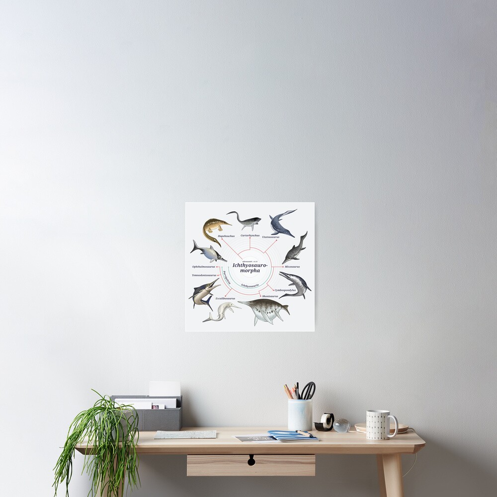 Ichthyosauromorpha: The Cladogram Poster