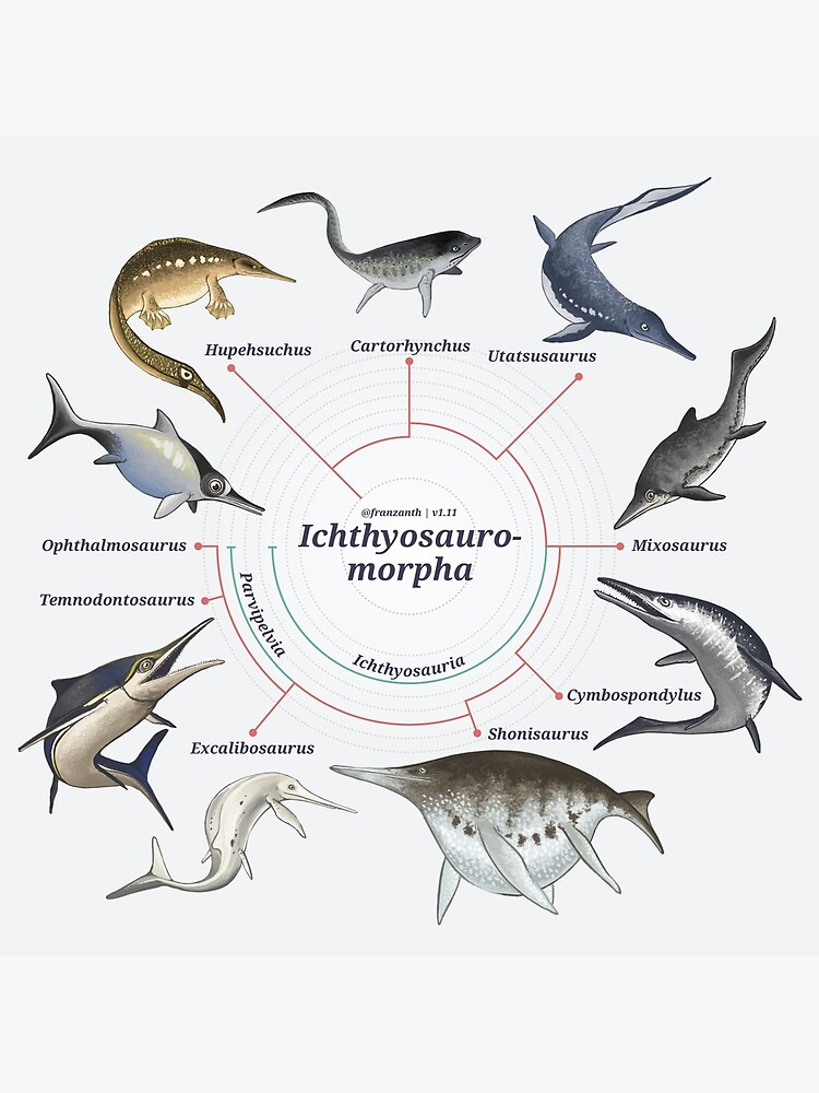 Ichthyosauromorpha: The Cladogram by franzanth