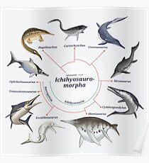 Ichthyosauromorpha: The Cladogram Poster