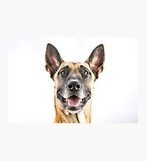 Goofy Photographic Print