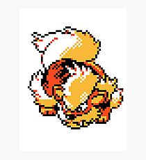 Arcanine Retro Photographic Print