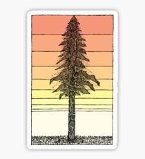 Coastal Redwood Sunset Sketch Sticker