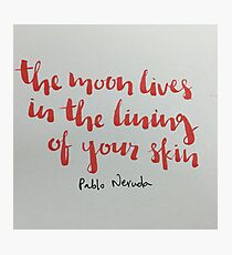 lining Photographic Print