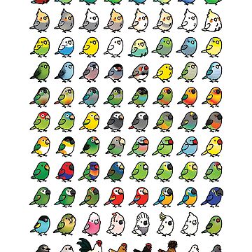 Artwork thumbnail, Everybirdy Collection by birdhism