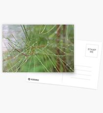 outreach Postcards