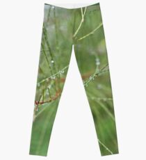 outreach Leggings
