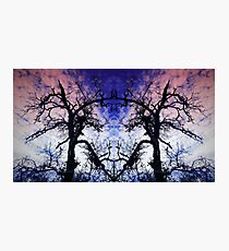 Dance Of The Dragons Photographic Print