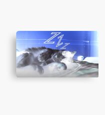 Sleeping Cat Canvas Print