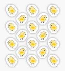 Busy Chicks - Aqua Sticker