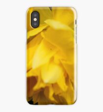 Daffodil iPhone Case/Skin