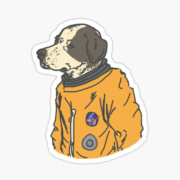 Stocking stuffer /"Walking Dead/" Zombie Pet Dog Family Car Decal Sticker