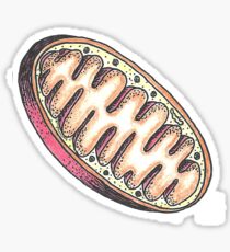 Mighty Mitochondria Sticker