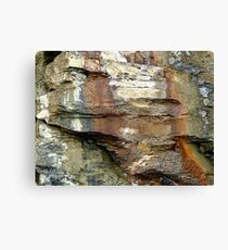 Kimmeridge 1 Canvas Print