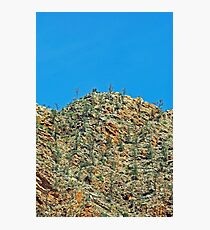 Hilltop Photographic Print