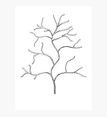 Shrub Photographic Print