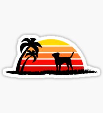 Labrador Retriever on Sunset Beach Sticker
