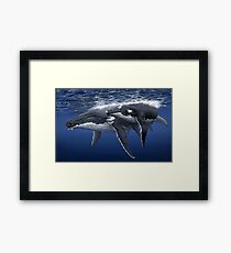 Gentle Giants Framed Print