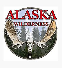 Alaska wilderness Photographic Print
